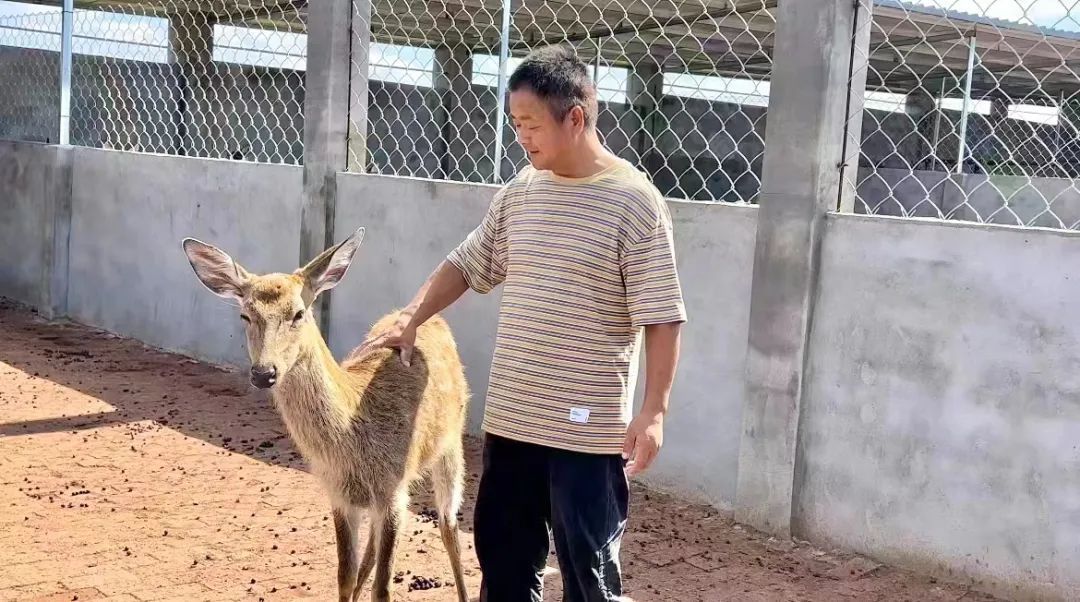 集结娱乐网站是多少
